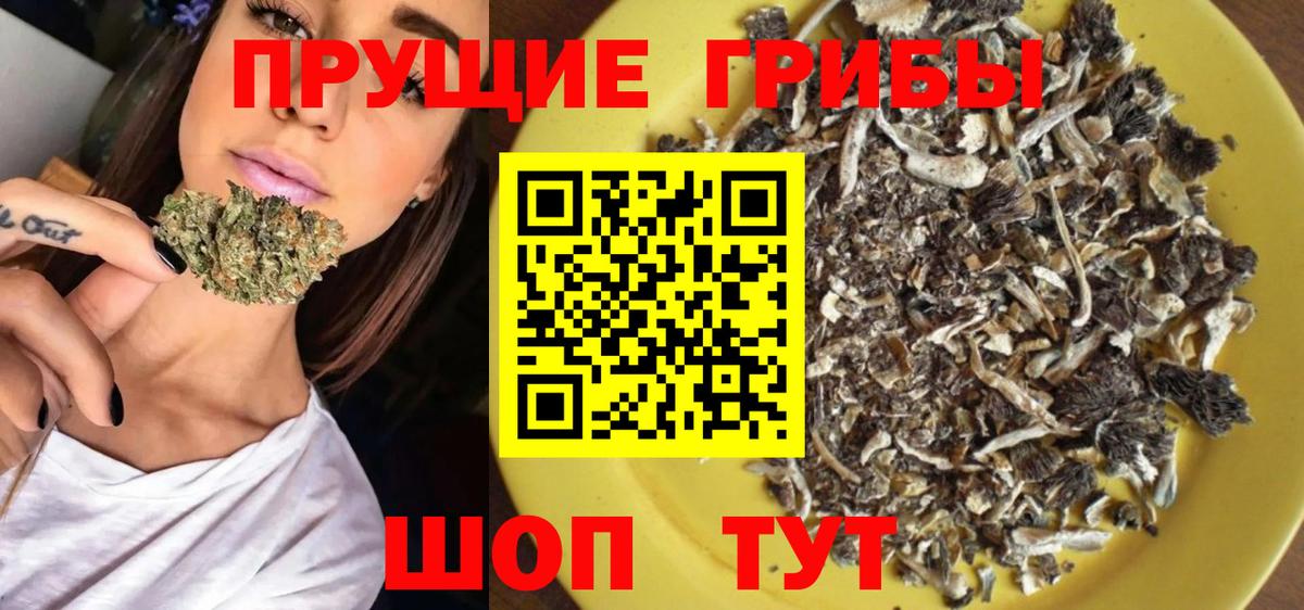Галлюциногенные грибы GOLDEN TEACHER Красноярск